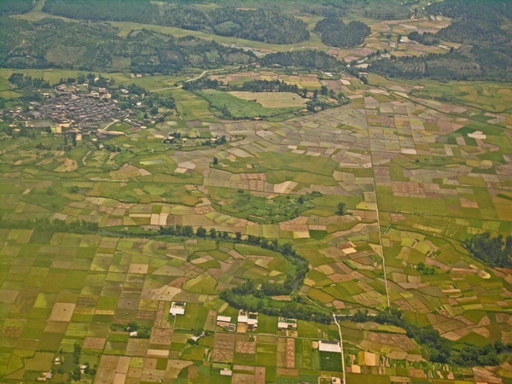 Typische Landschaft mit Reisfeldern